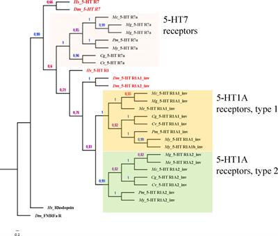 Physiological Roles of Serotonin in Bivalves: Possible Interference by Environmental Chemicals Resulting in Neuroendocrine Disruption